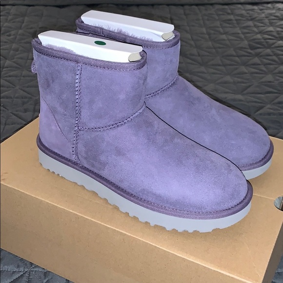 purple sage uggs